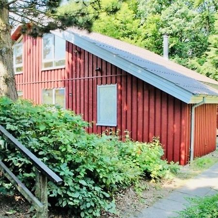 Komfort-Ferienhaus - Extertal Ferienpark - Entspannung, Natur, Wald, Familie #51 Exterior foto